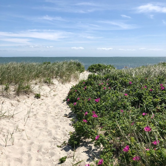 Meet your Posher, Kimberly - Picture 3 of 3